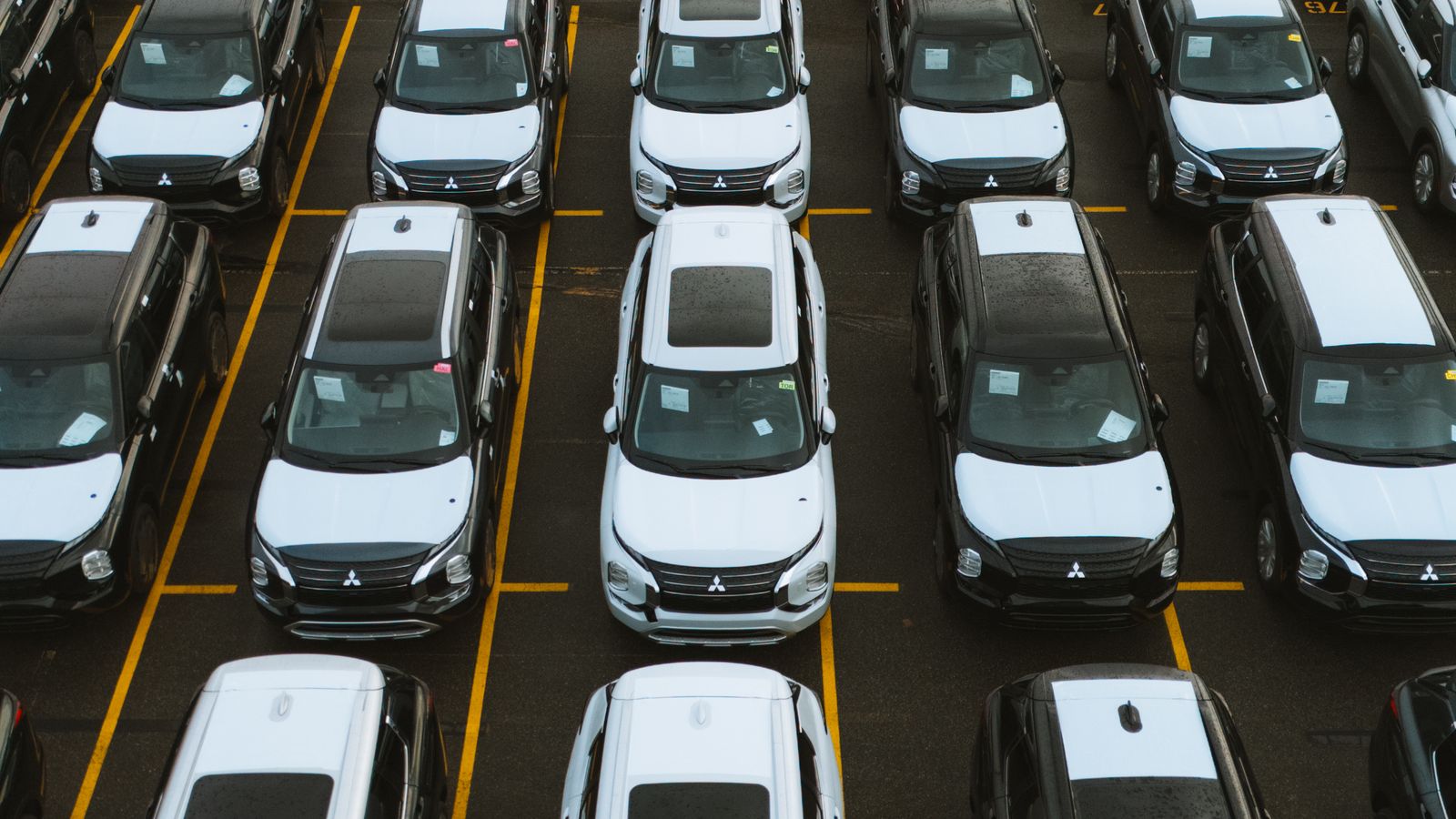 Rows of vehicles arranged in a large sales and storage lot